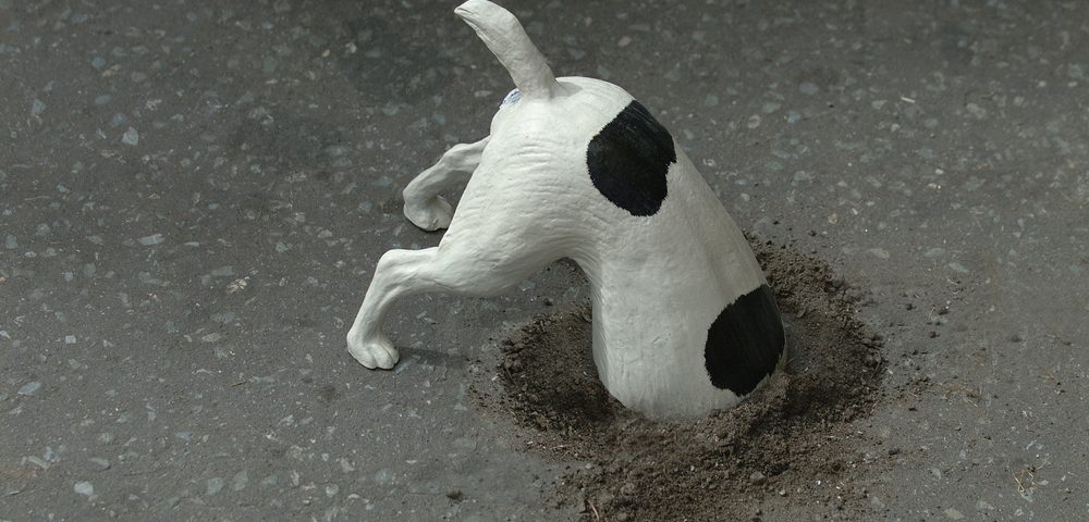 bone digging