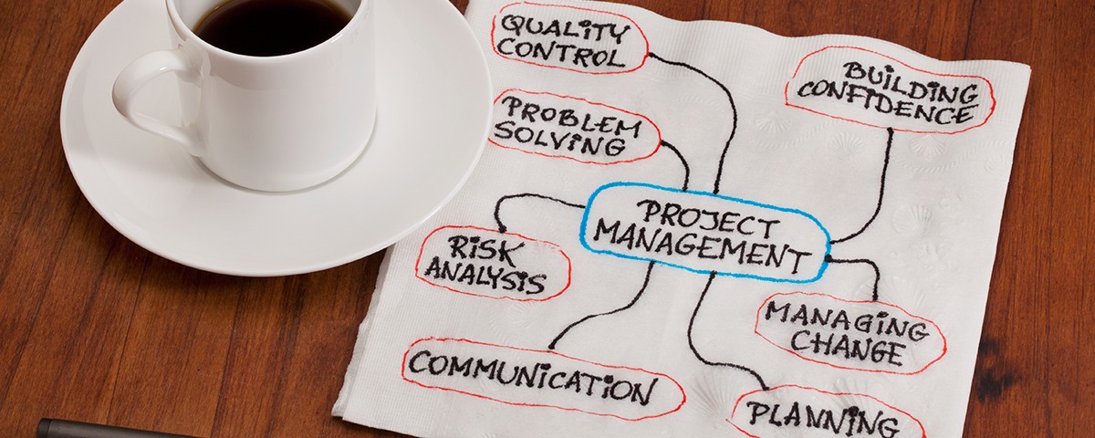 what is project management