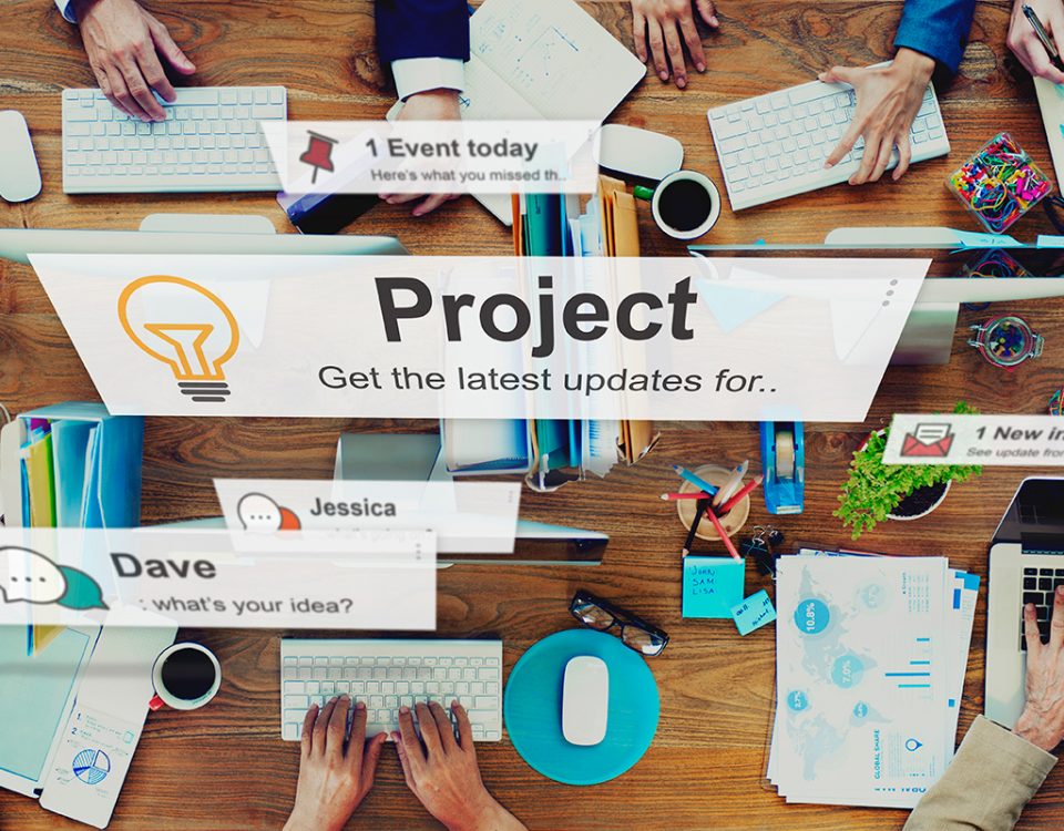 what is project management