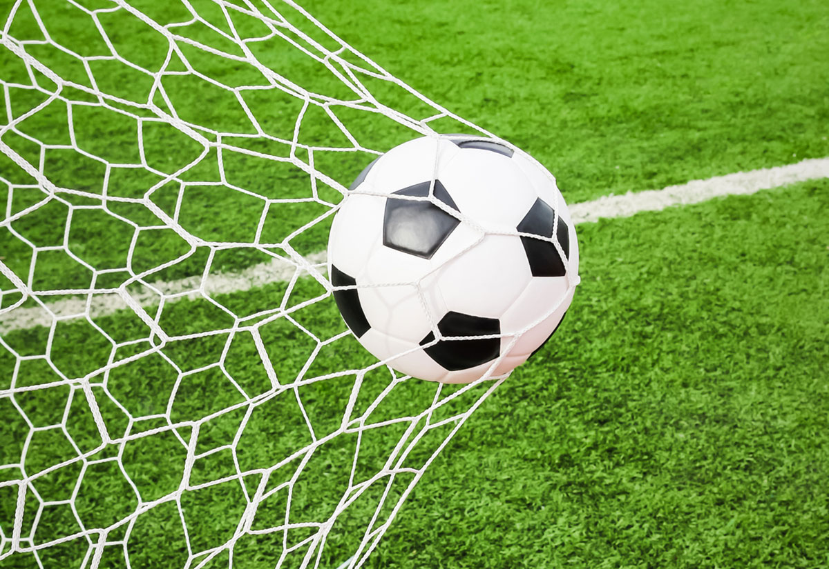 7 steps to help you achieve your organizational goals systemation blog