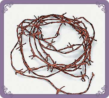 wedding barbed wire